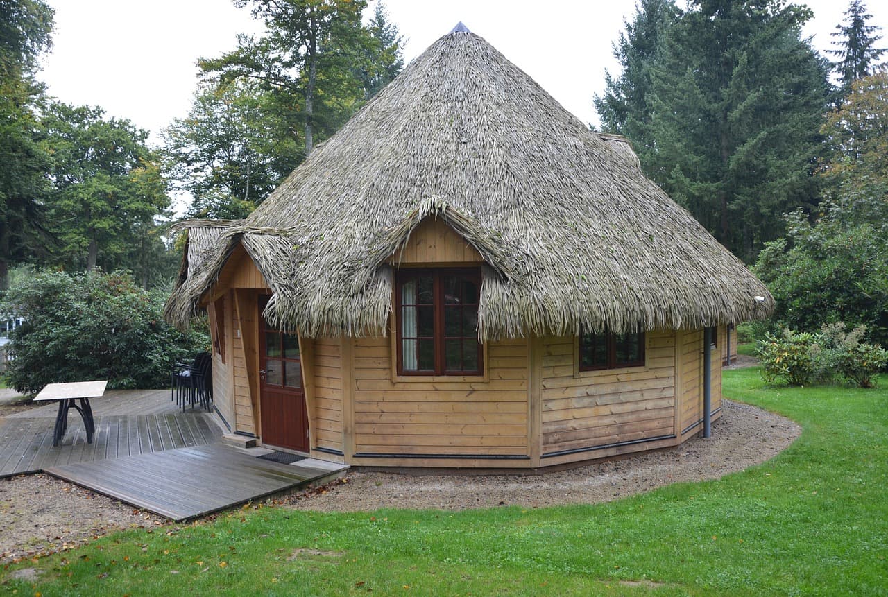 Jak nabyć działkę z domkiem letniskowym od Lasów Państwowych