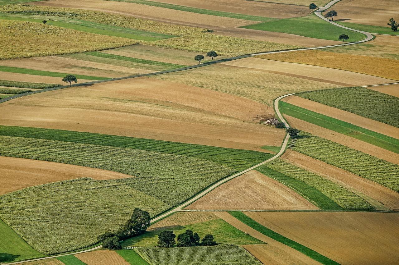 Jak skutecznie i bezpiecznie sprzedać działkę budowlaną krok po kroku