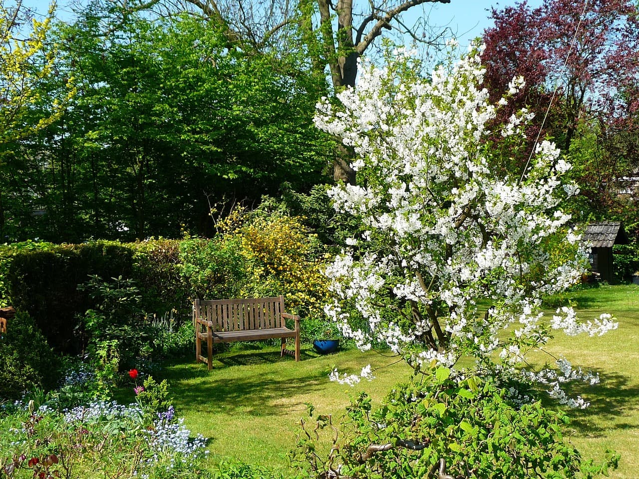 Kupno działki ROD i opłaty notarialne: co warto wiedzieć