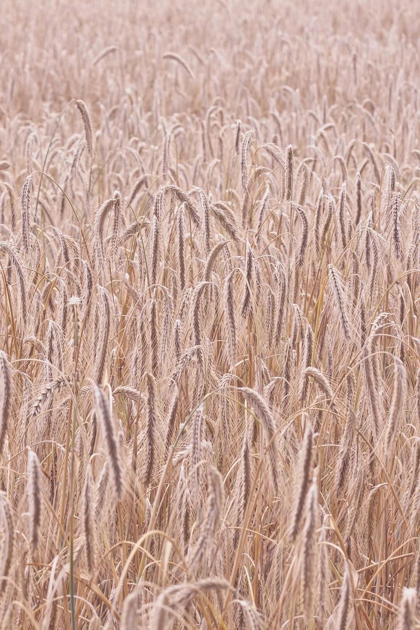 List gończy a ukrywanie się za granicą: co warto wiedzieć