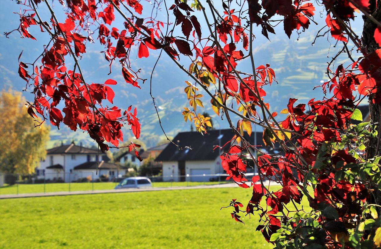 Podział majątku po zmarłym: jak dokonać spłaty spadkobierców w procesie działu spadku
