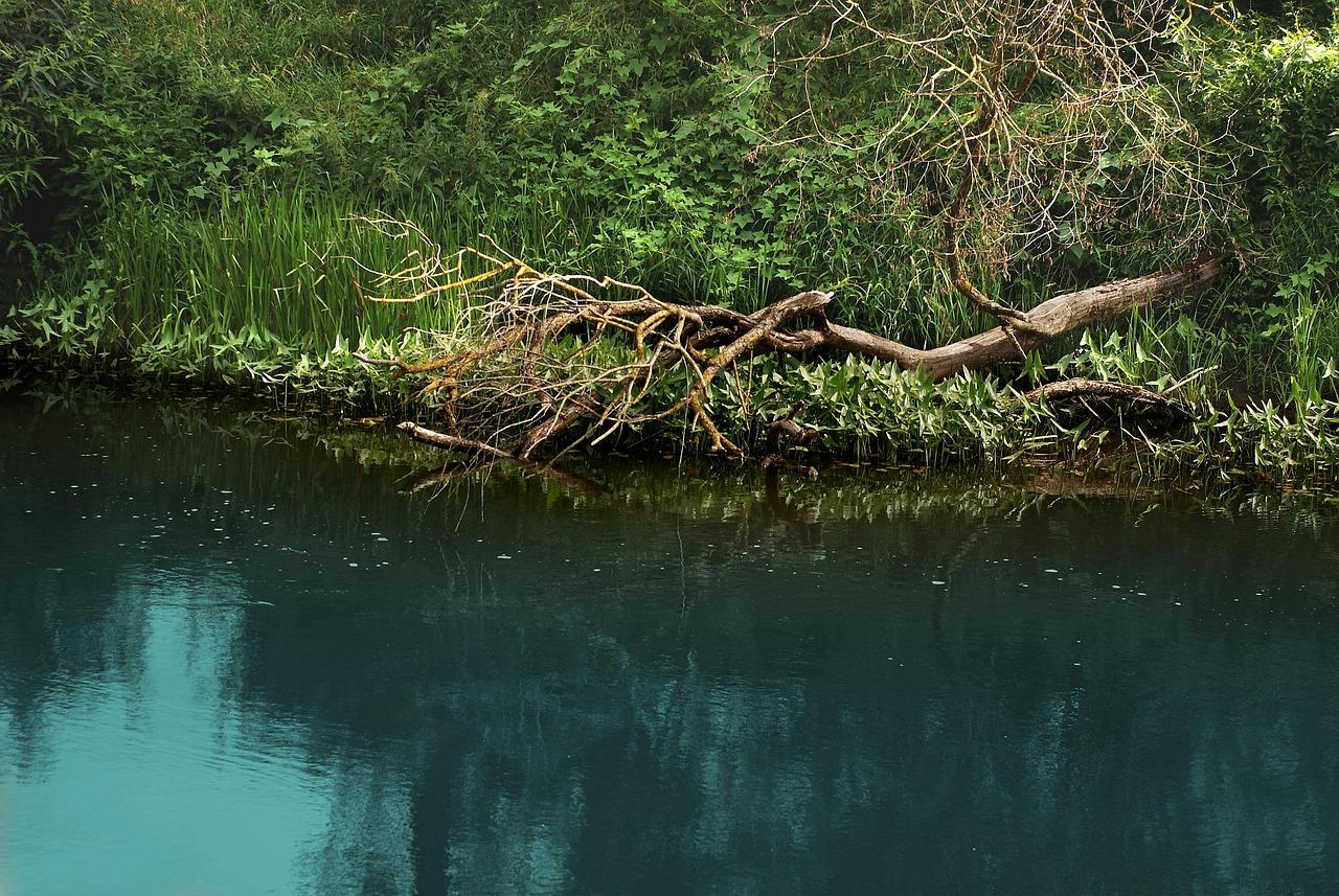 Tablica rejestracyjna za przednią szybą w przypadku braku możliwości montażu z przodu samochodu