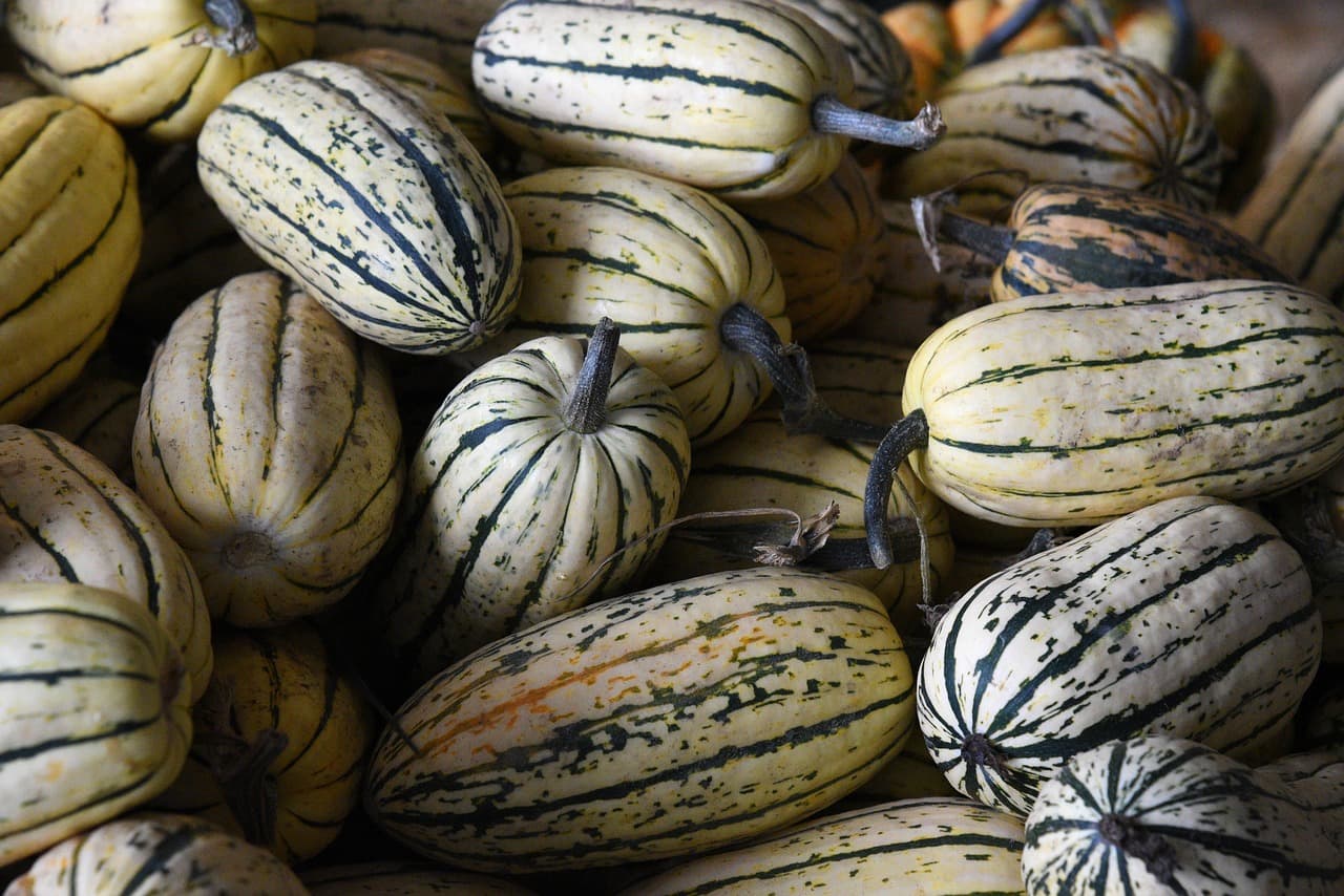 Umowa o pomocy przy zbiorach dla obywateli Ukrainy a obowiązki podatkowe rolników