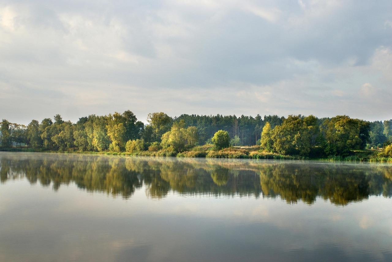 Konsekwencje niezrobienia badań lekarskich po zabraniu prawa jazdy w wymaganym terminie
